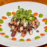 Grilled Octopus with leafy greens on top